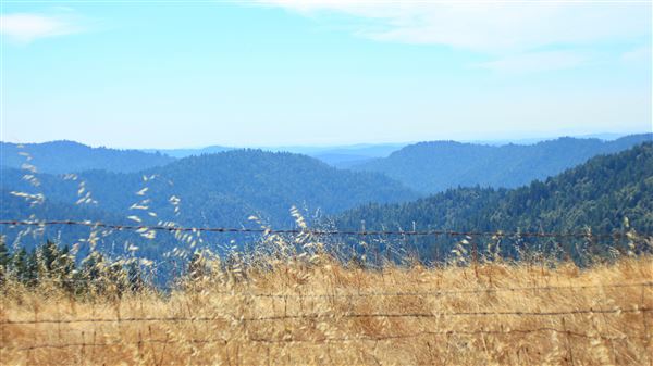 Highway 20 - Fort Bragg-Willits Rd. (9/3/2018 - Credits: Kellen Lim)