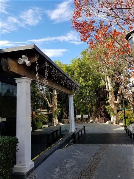 CHO CHO SAN JAPANESE RESTAURANT (12/11/2018)