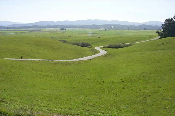 Cougar Mountain Drive (12/31/2003)