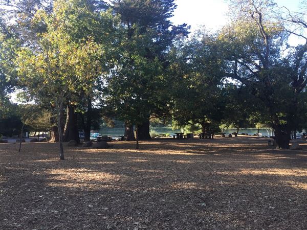 Howarth Park (4/3/2019)