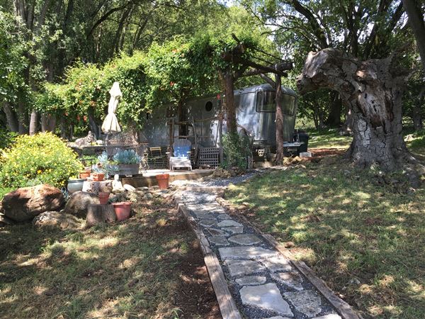 Bees Rock Ranch (5/22/2019)