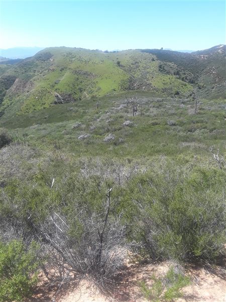 Villalobos Hilltop Ranch (5/23/2019 - Credits: Villalobos Body)