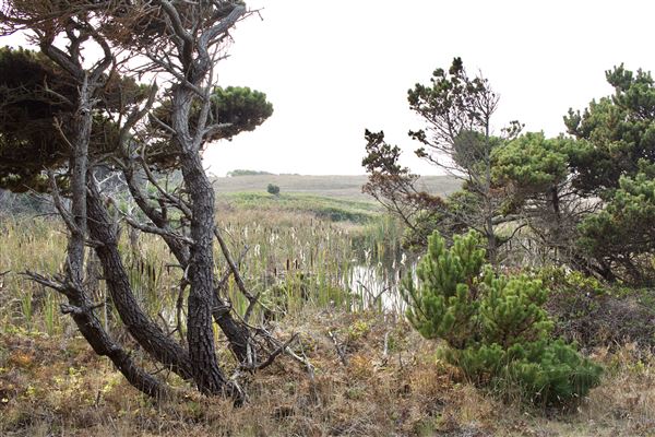 Belinda Point Public Access Trail (11/13/2018 - Credits: Kellen Lim)