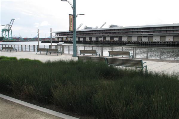 Port of Los Angeles - POLA / West Harbor / AltaSea Research Campus / Wilmington Waterfront Promenade (6/1/2019 - Credits: LocoScout)