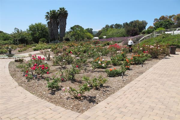 South Coast Botanic Garden (6/1/2019 - Credits: LocoScout)