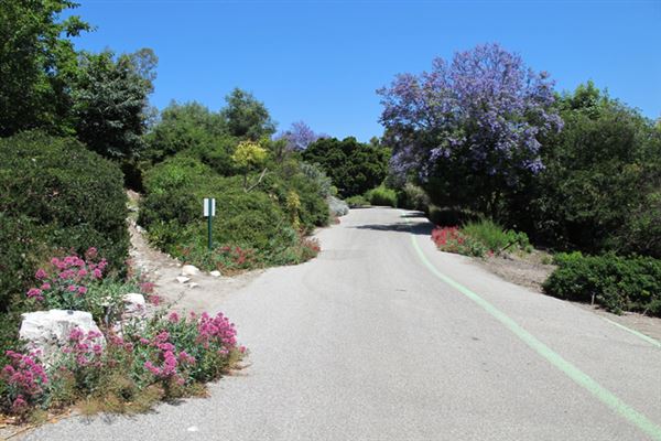 South Coast Botanic Garden (6/1/2019 - Credits: LocoScout)