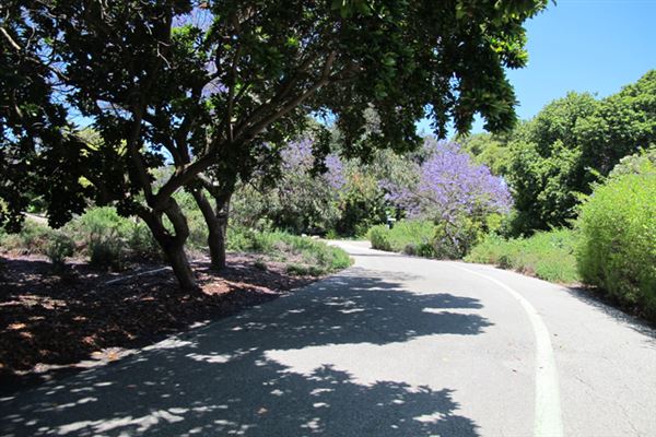 South Coast Botanic Garden (6/1/2019 - Credits: LocoScout)