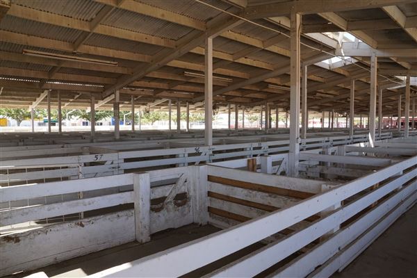 Kern County Fair - 15th DAA (6/1/2019 - Credits: Kern County Fair and Event Center)