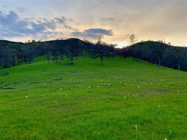 Luna Lavender Farms (9/23/2019 - Credits: Ken Flask)