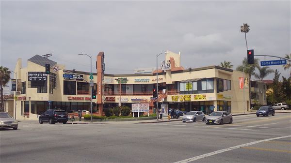 Palm Plaza Bundy (11/2/2020)