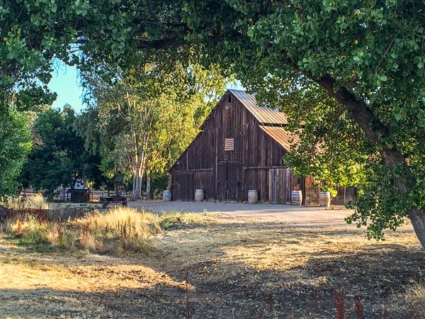 Oreana Winery & Vineyard - Fisco (9/1/2020 - Credits: Photos, Videos and 360° Virtual Tour by Kevin Dole - Home3D.us)