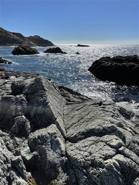 Granite Cove Big Sur (2/11/2021)