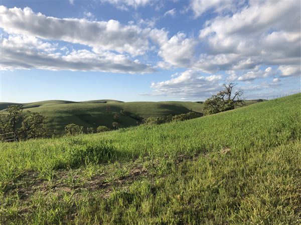 Enney Ranch @ Paso Robles (1/4/2021 - Credits: Courtney Delancey)