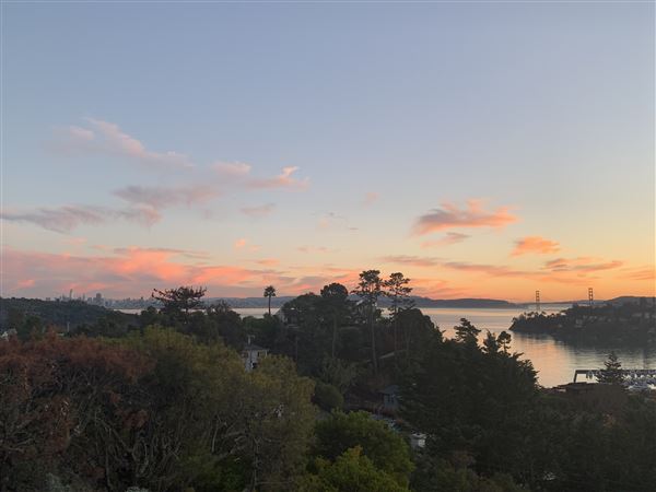 Home in the Hills of Tiburon/SF Bay Area (8/29/2021)
