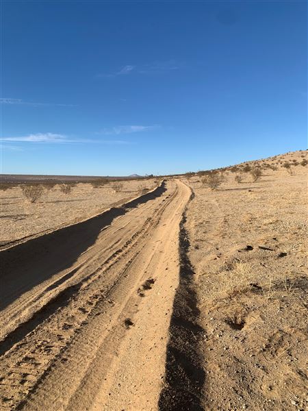 198 acre beautiful desert property (3/1/2022 - Credits: Nicole Staples)