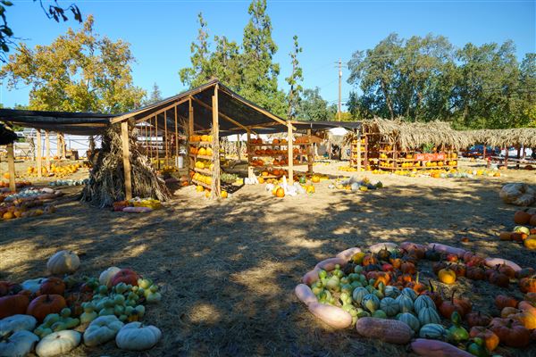 Julia's Fruit Stand (3/1/2022 - Credits: Film Tehama)
