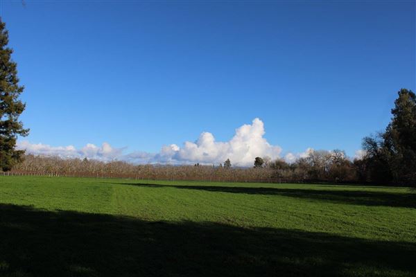 Abbey of New Clairvaux (3/1/2022 - Credits: Film Tehama)