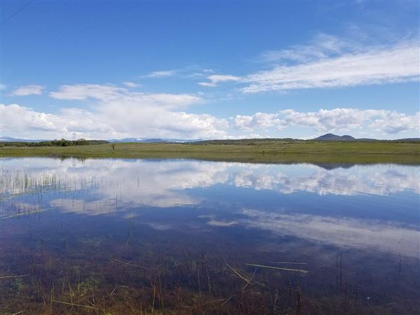 Payne's Creek Wetlands (3/1/2022 - Credits: Film Tehama)