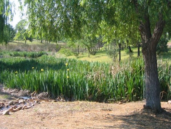 Lema Ranch Trail (8/9/2019)