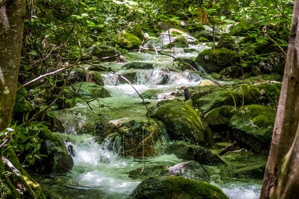 Crystal Creek Falls - Whiskeytown National Recreation Area (8/9/2019)