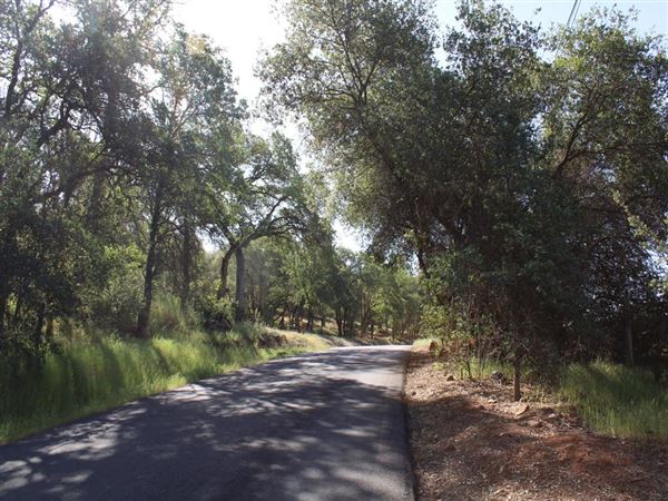 Sicard Flat (4/11/2022)