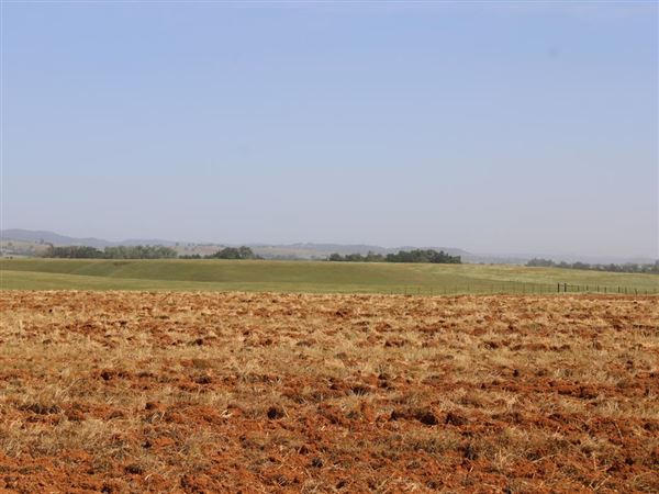 Wheatland (4/11/2022 - Credits: Yuba Sutter Film Commission)