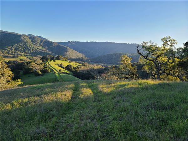 Santa Cruz Mountains/Santa Clara Valley Vineyard/Victorian Location - Gilroy, CA (7/29/2022 - Credits: Jason Goelz)
