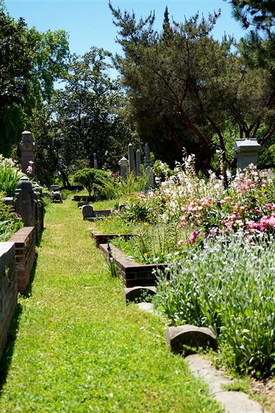 Sacramento Historic City Cemetary (4/28/2020)