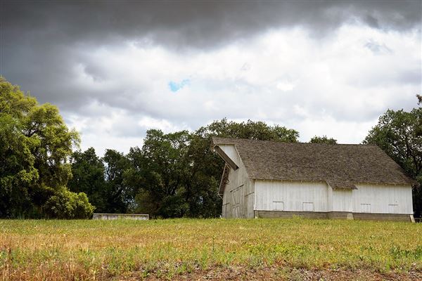 Various Rural Farms And Ranches (8/9/2022)