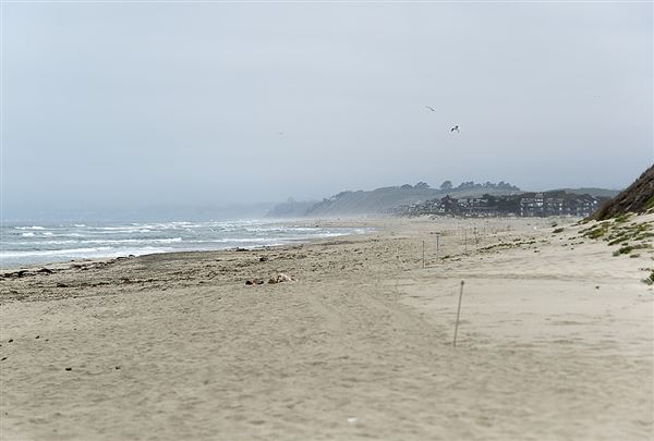 Zmudowski State Beach (SB) (6/6/2014 - Credits: Brian Baer)