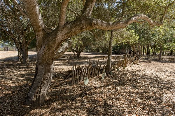 Rancho San Andres Castro Adobe Park Property - Garden; Fountain; Fence (9/20/2015 - Credits: Brian Baer)