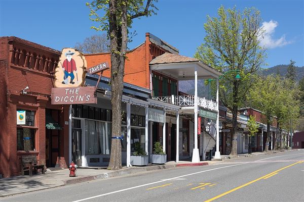 Weaverville (4/1/2020 - Credits: Frank Schulenburg, CC BY-SA 4.0 <https://creativecommons.org/licenses/by-sa/4.0>, via Wikimedia Commons, https://upload.wikimedia.org/wikipedia/commons/9/90/Weaverville%2C_April_2020-2121.jpg)