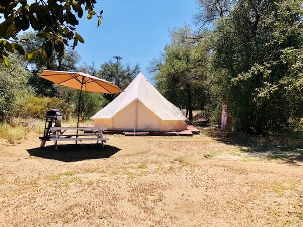 Red Thorne Ranch / The Barn Loft / Mini Petting Zoo (3/23/2023 - Credits: Amber Thorne)