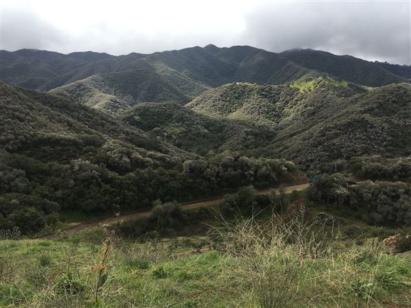 Canyon Ranch (4/3/2023 - Credits: Provided by Julie Hoffman)