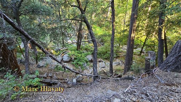 Lawler Lodge and Cabins (7/5/2023 - Credits: Marc Hlavaty)