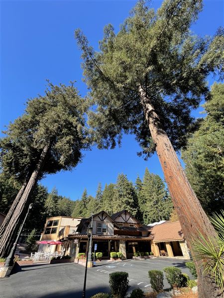Historic Brookdale Lodge - Santa Cruz Mountains (8/26/2022 - Credits: Brookdale Lodge, JC Azpeitia)