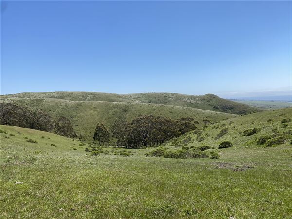 Rosko Ranch (7/30/2023 - Credits: Julia Goldberg)