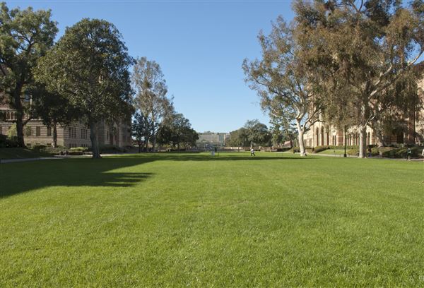 University of California, Los Angeles - UCLA (8/4/2023 - Credits: University of California, Los Angeles - UCLA)
