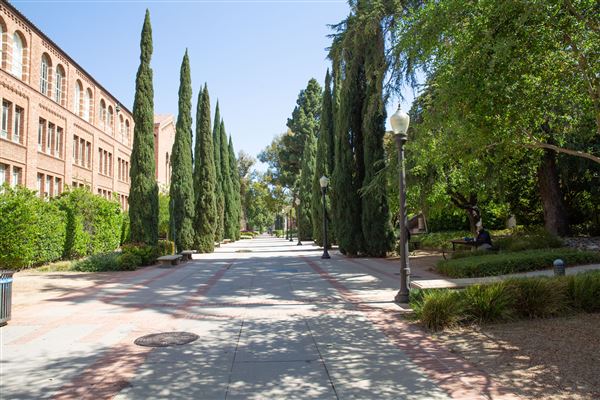 University of California, Los Angeles - UCLA (8/4/2023 - Credits: University of California, Los Angeles - UCLA)