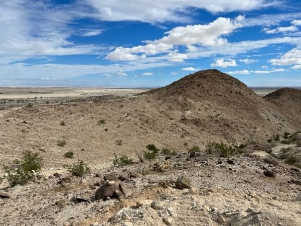 Borrego Spring Mountain Ranch (8/15/2023 - Credits: Caleb Sevian)