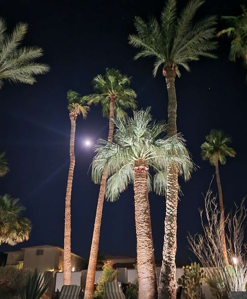 Lido Palms Hotel and Spa (10/9/2023 - Credits: Photo Courtesy of Lido Palms Hotel & Spa)