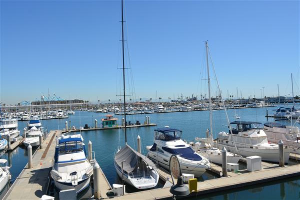 Cabrillo Marina (11/3/2023 - Credits: submitted by: Henry Rivas)
