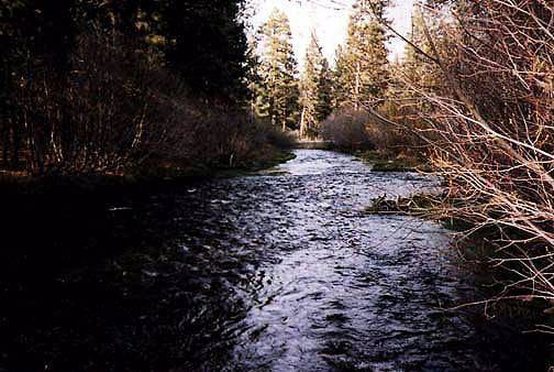 Hat Creek (12/31/2003)