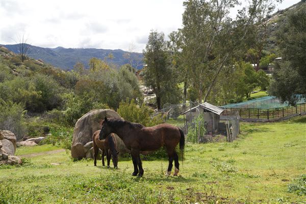Stone Meadows Ranch (11/29/2023 - Credits: Photo Courtesy of Thomas Levin)