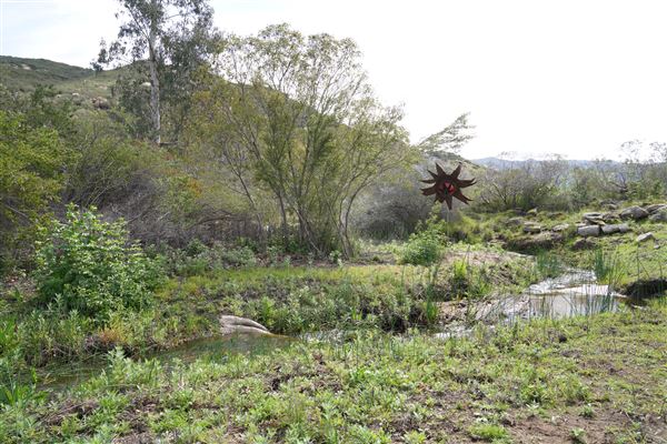 Stone Meadows Ranch (11/29/2023 - Credits: Photo Courtesy of Thomas Levin)