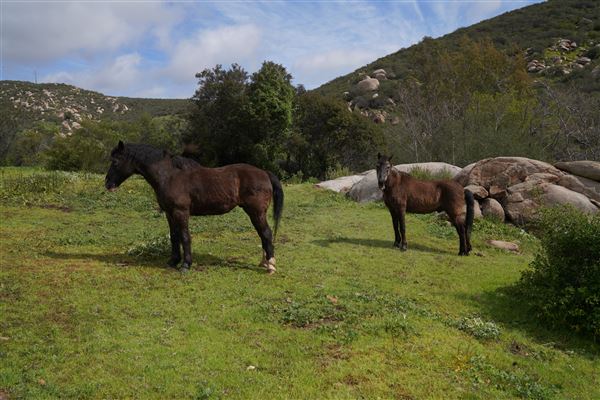 Stone Meadows Ranch (11/29/2023 - Credits: Photo Courtesy of Thomas Levin)