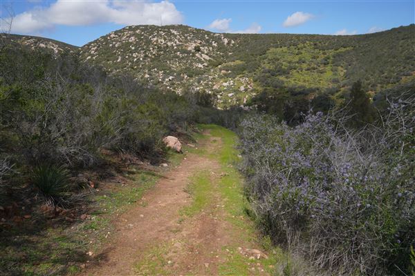 Stone Meadows Ranch (11/29/2023 - Credits: Photo Courtesy of Thomas Levin)