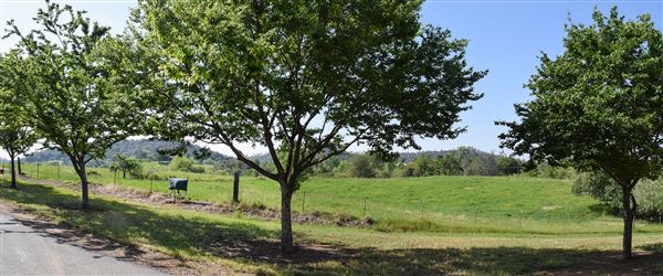 Olive Ranch (7/14/2022)
