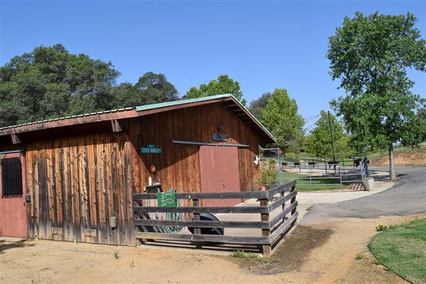 Olive Ranch (7/14/2022)