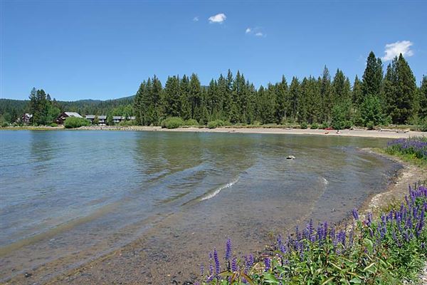 Lake Forest Beach (7/11/2018)